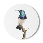 White Bellied Sunbird Wooden Coaster - WBS