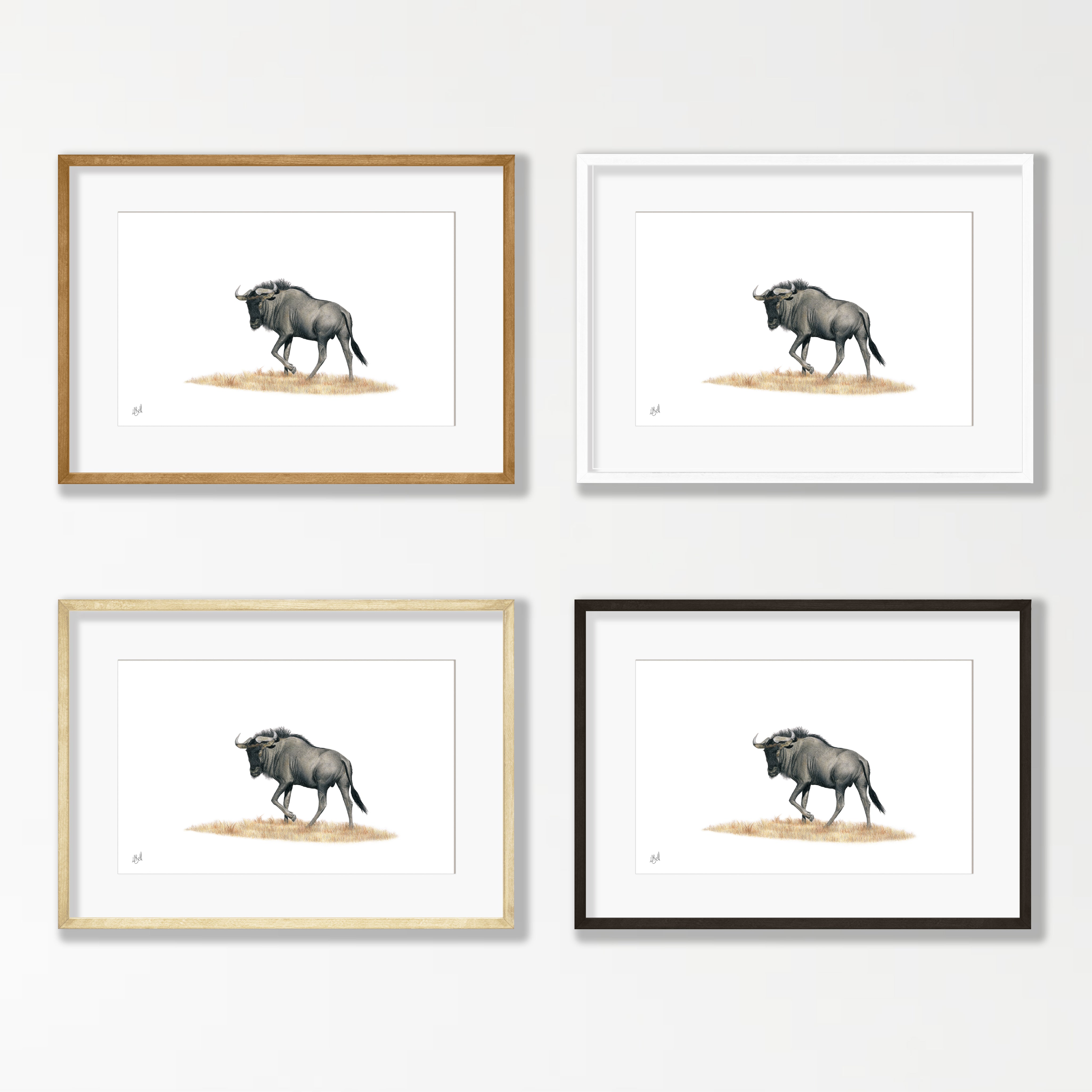 Wildebeest - WB