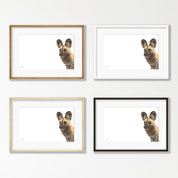 African Wild Dog - WD1
