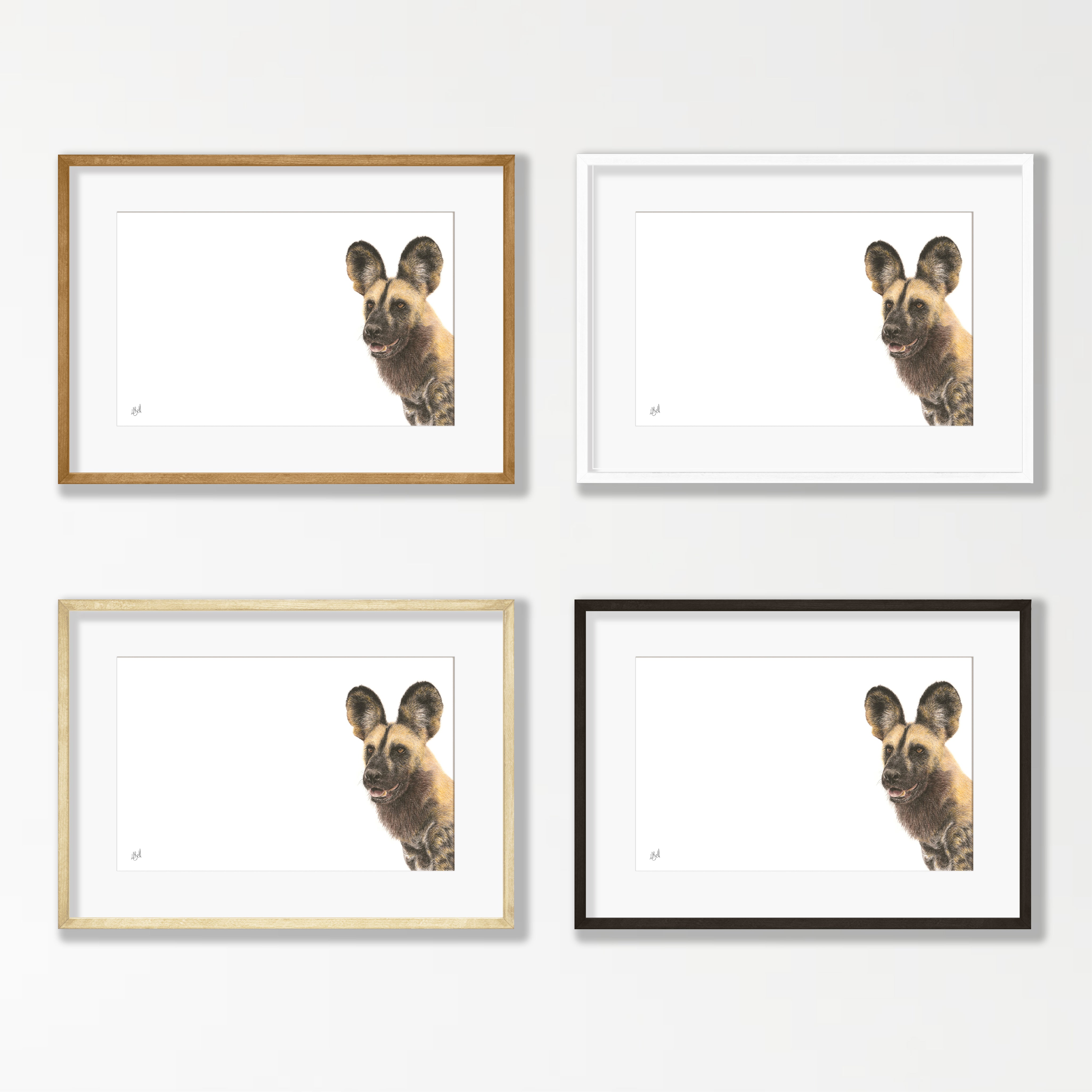 African Wild Dog - WD1