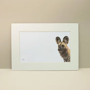 African Wild Dog in Tanzania portrait pencil drawing