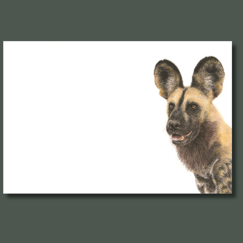 African wild dog portrait wildlife art on canvas