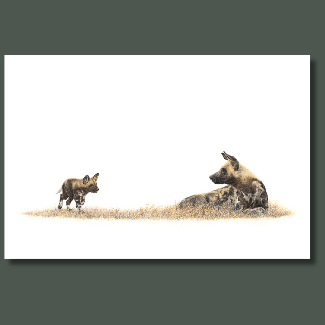 African wild dog mother and pup in the bushveld wildlife art canvas print