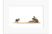 African Wild Dog Mother and Pup - WD2