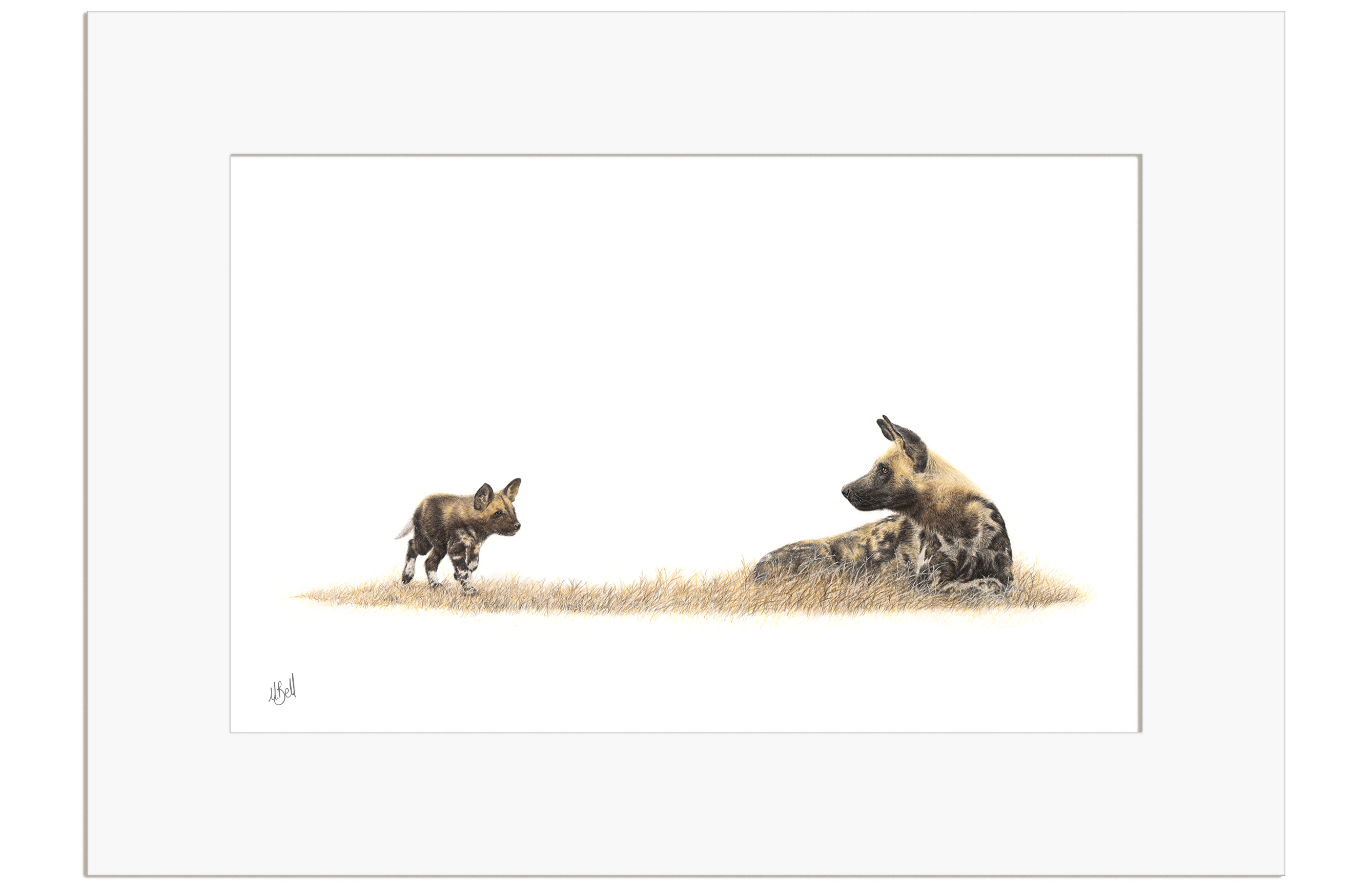 African Wild Dog Mother and Pup - WD2