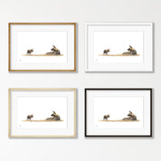 African Wild Dog Mother and Pup - WD2