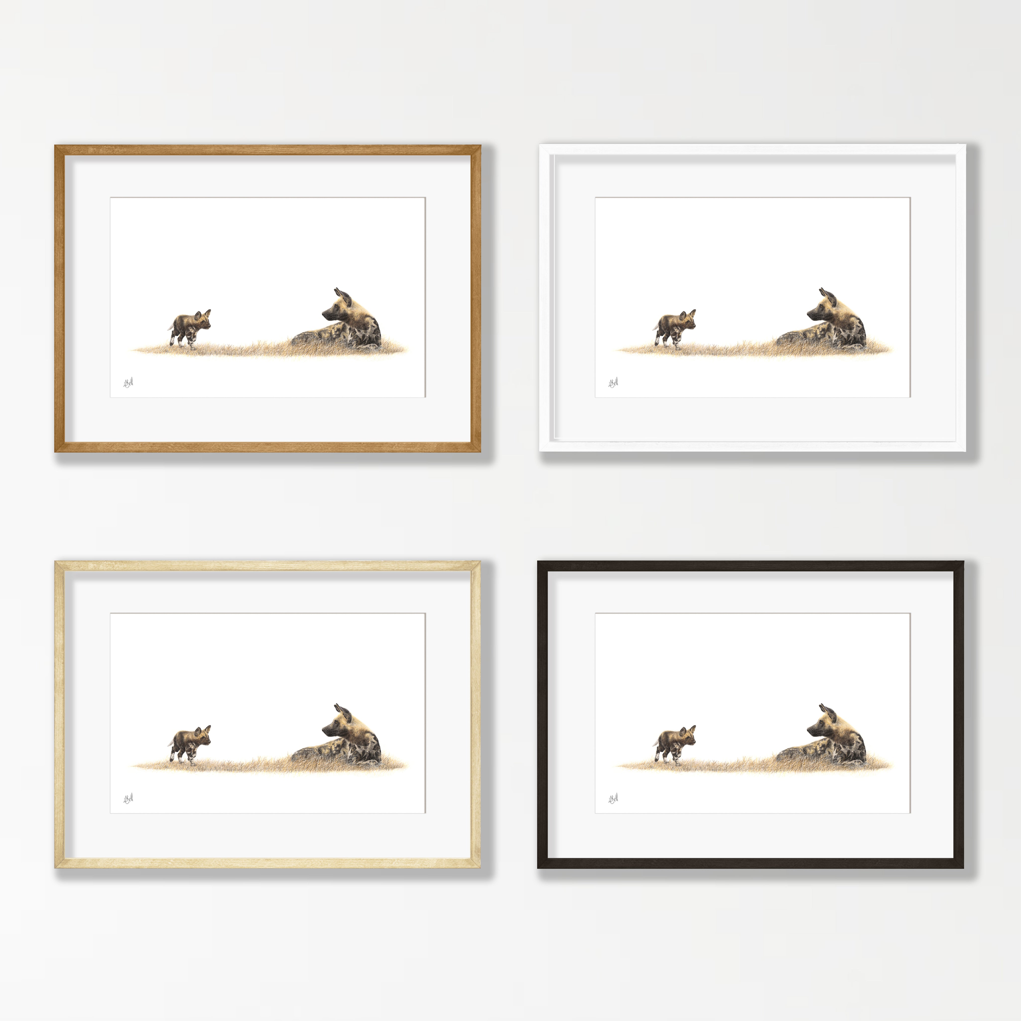 African Wild Dog Mother and Pup - WD2