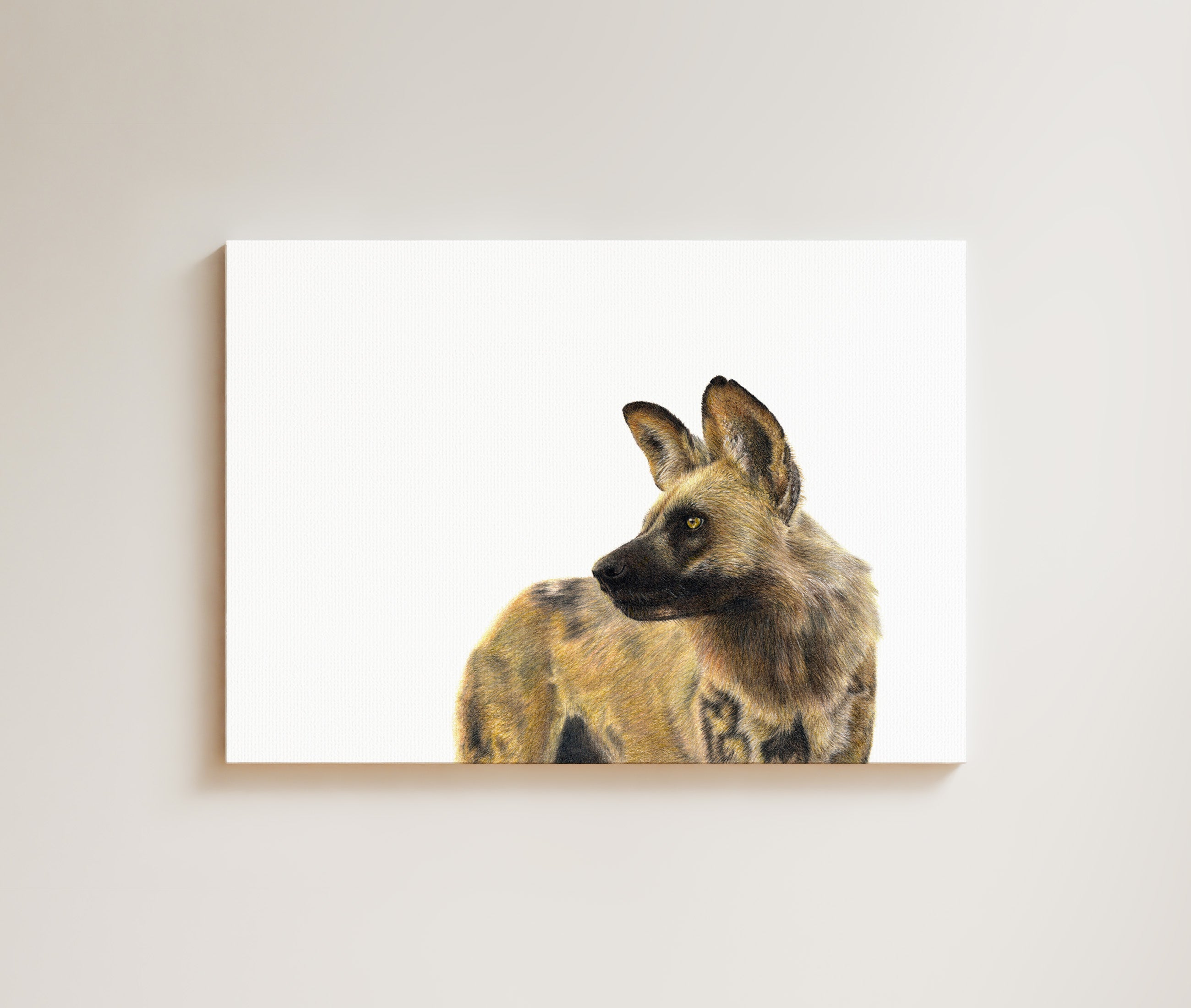 African Wild Dog drawing on canvas by South African wildlife artist Matthew Bell