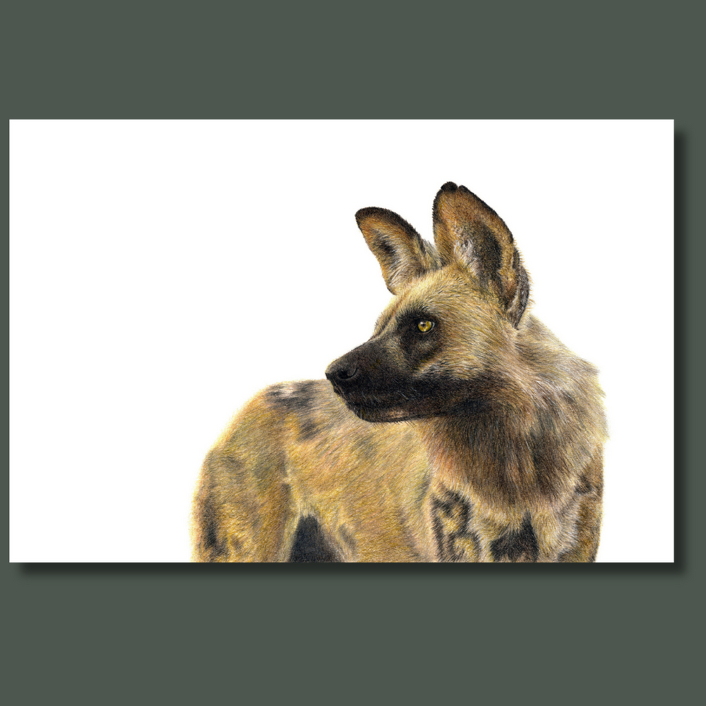 African Wild Dog portrait artwork on canvas