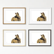 African Wild Dog Portrait - WD3