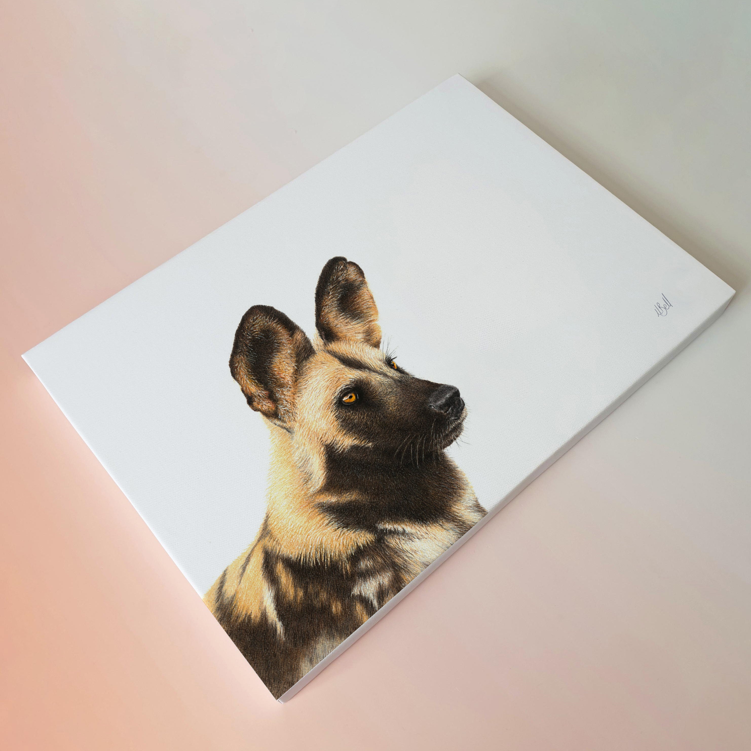 African Wild Dog portrait on canvas artwork by Matthew Bell