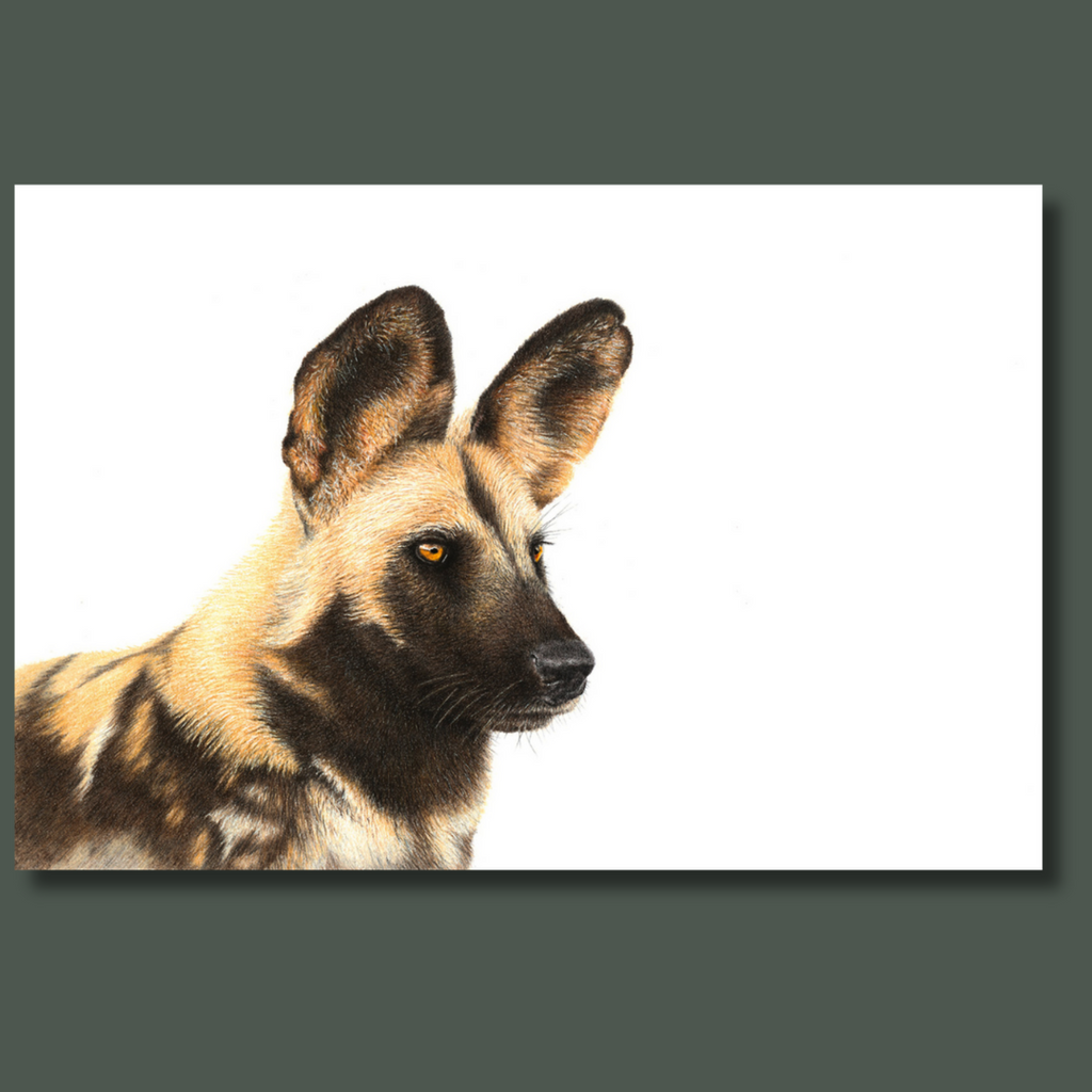 African wild dog portrait on canvas wildlife art print