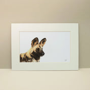 African Wild Dog pencil drawing artwork print 