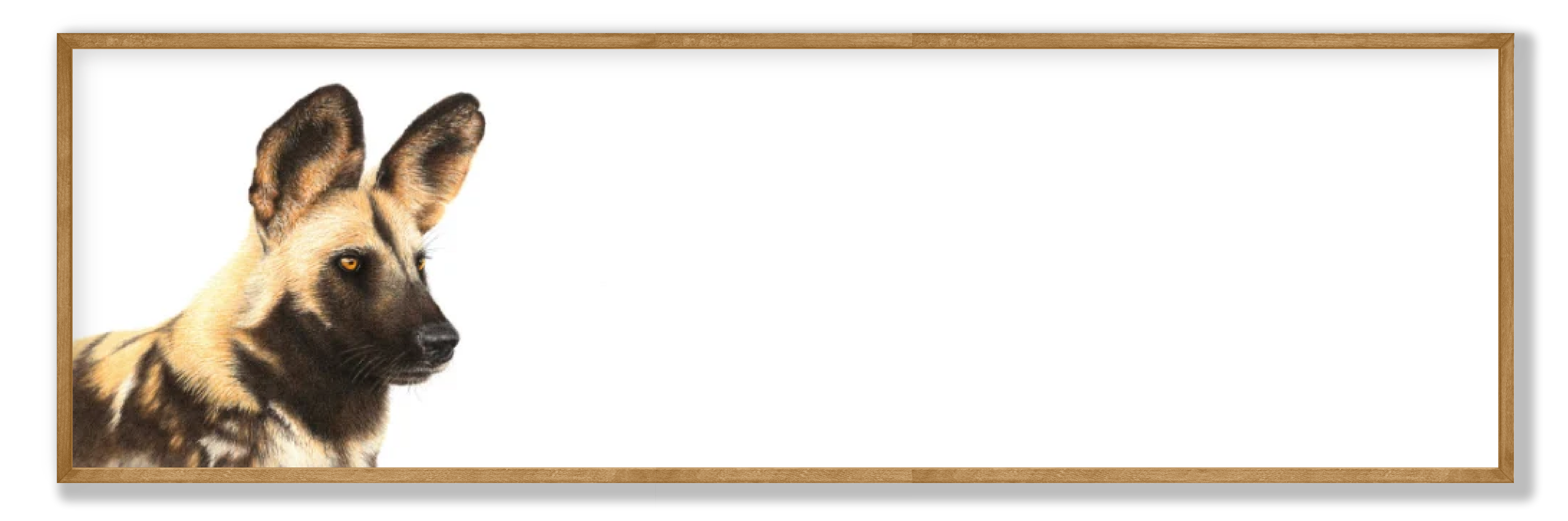 African Wild Dog Panorama