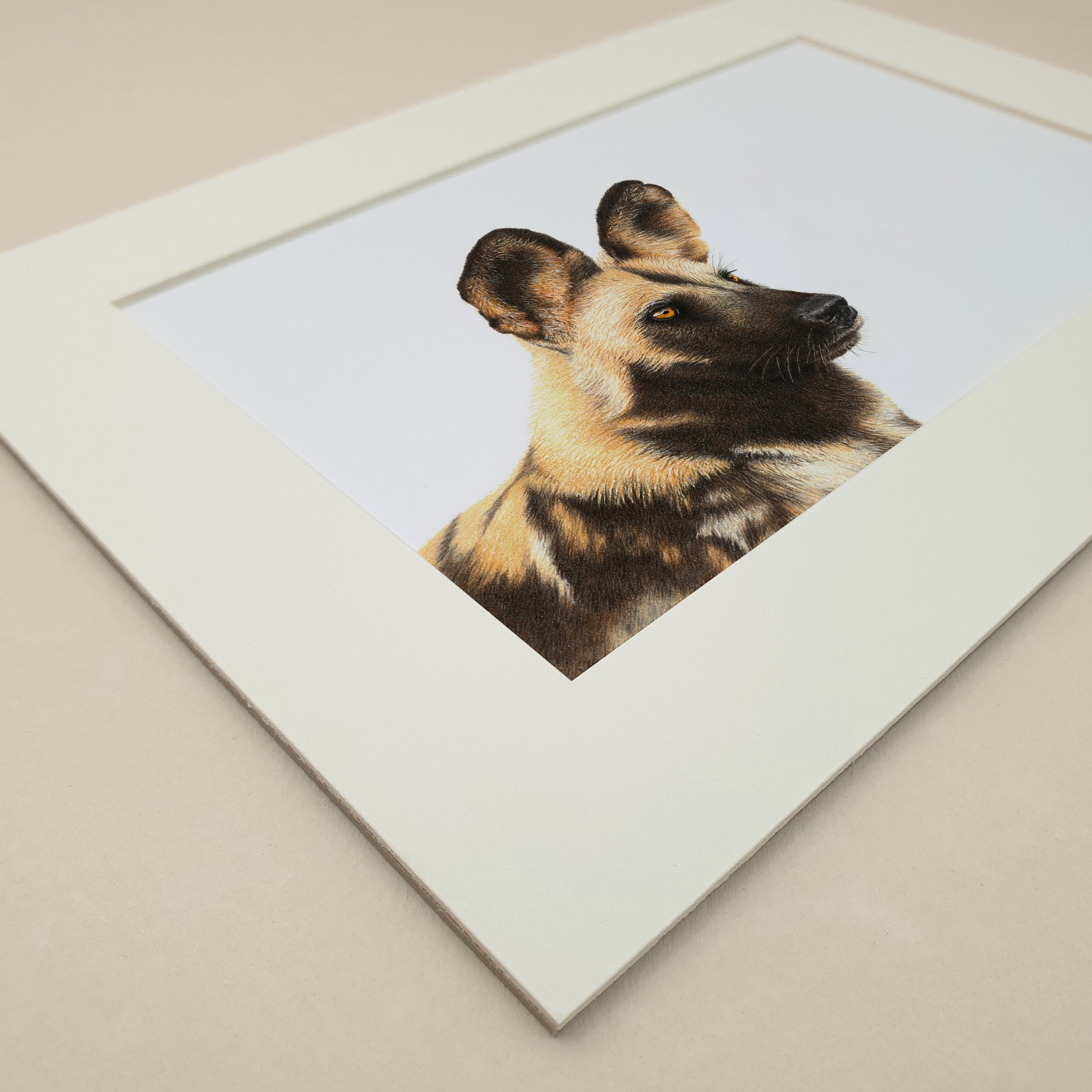 African Wild Dog pencil drawing artwork print 