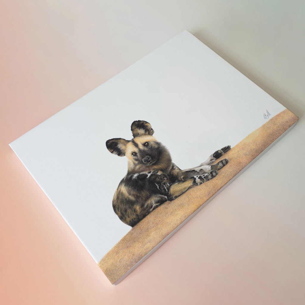 African wild dog male in Sabi Sabi canvas wall art