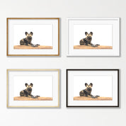 African Wild Dog - WD5