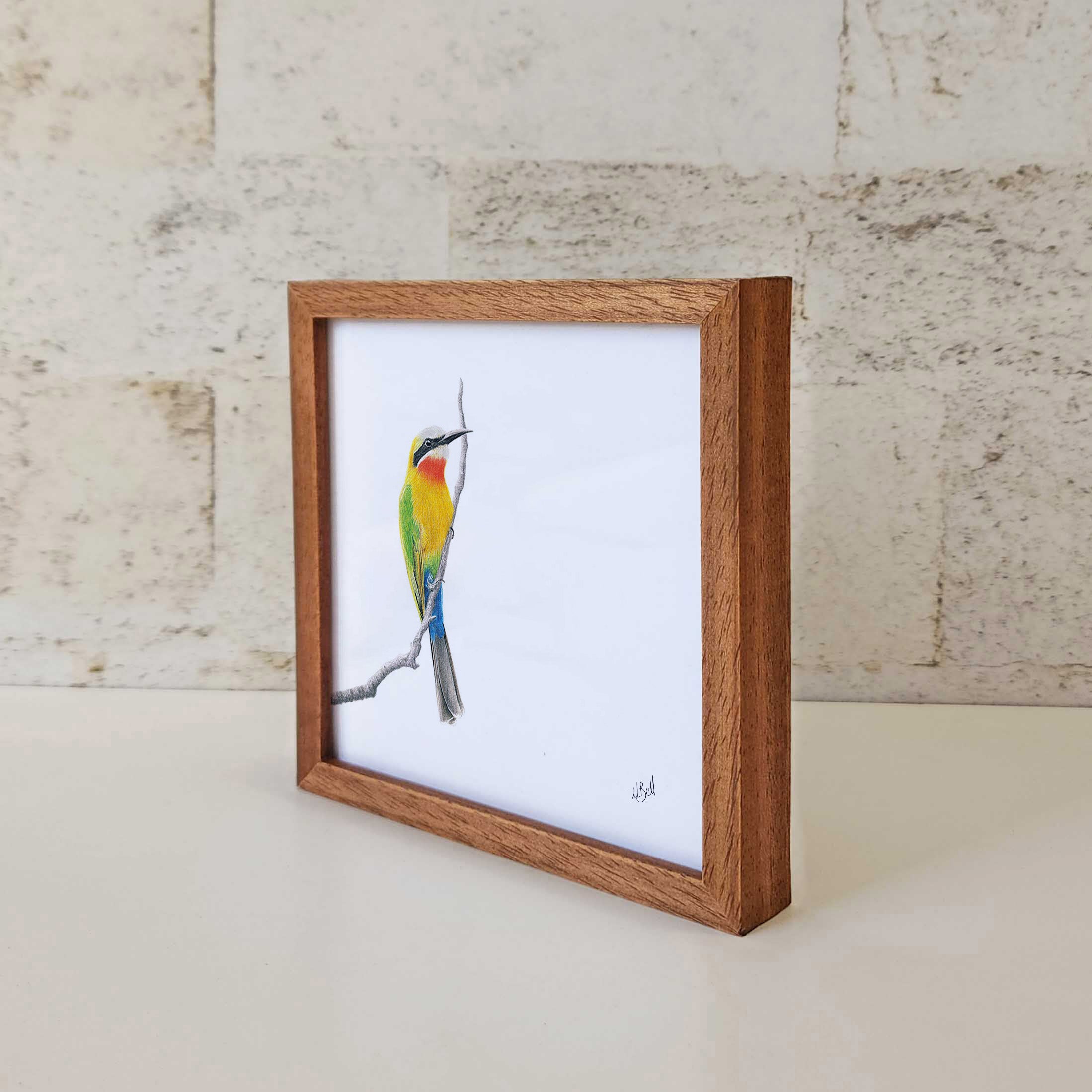 Kiaat wood framed miniature artwork of a White Fronted Bee Eater, part of wildlife artist Matthew Bell's birds of South Africa gallery