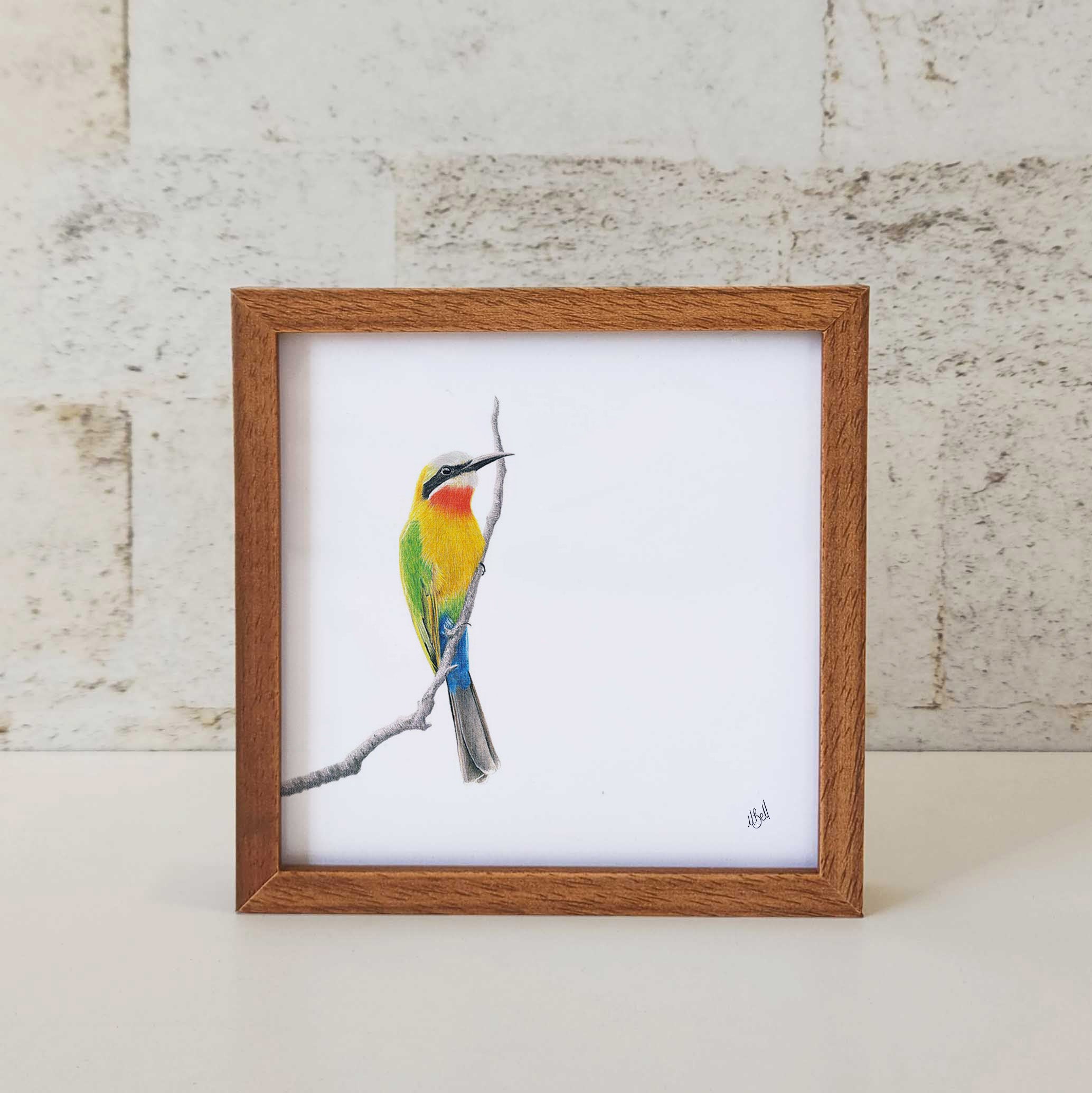 Kiaat wood framed miniature artwork of a White Fronted Bee Eater, part of wildlife artist Matthew Bell's birds of South Africa gallery