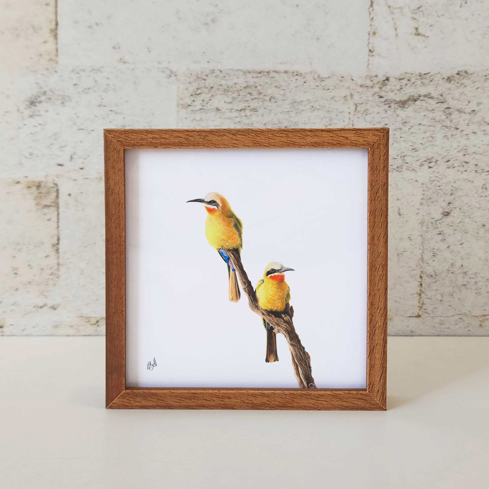 Kiaat wood framed miniature artwork of White Fronted Bee Eaters, part of wildlife artist Matthew Bell's birds of South Africa gallery