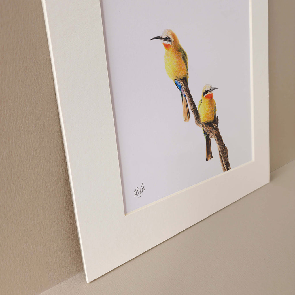 Pencil artwork of two White Fronted Bee Eaters sitting on a branch