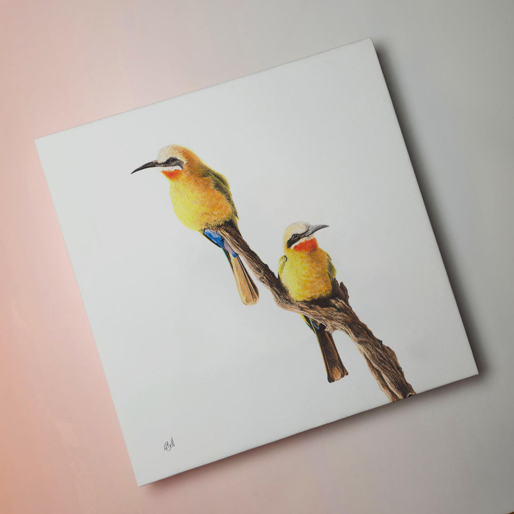 White Fronted Bee Eaters South African bird artwork stretched on canvas by wildlife artist Matthew Bell