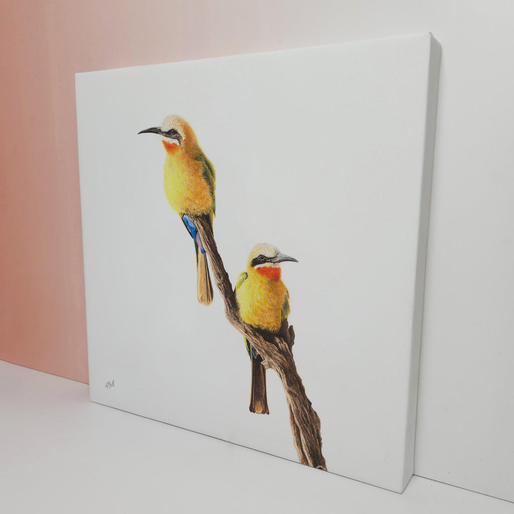 White Fronted Bee Eaters South African bird artwork stretched on canvas by wildlife artist Matthew Bell