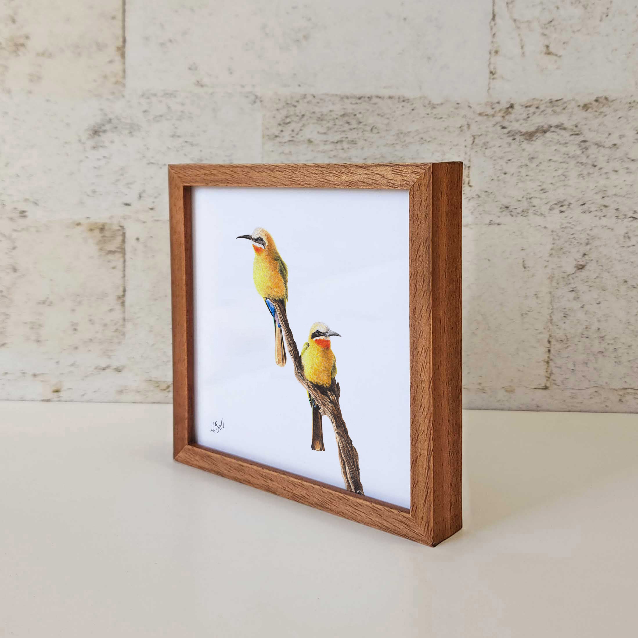 Kiaat wood framed miniature artwork of White Fronted Bee Eaters, part of wildlife artist Matthew Bell's birds of South Africa gallery