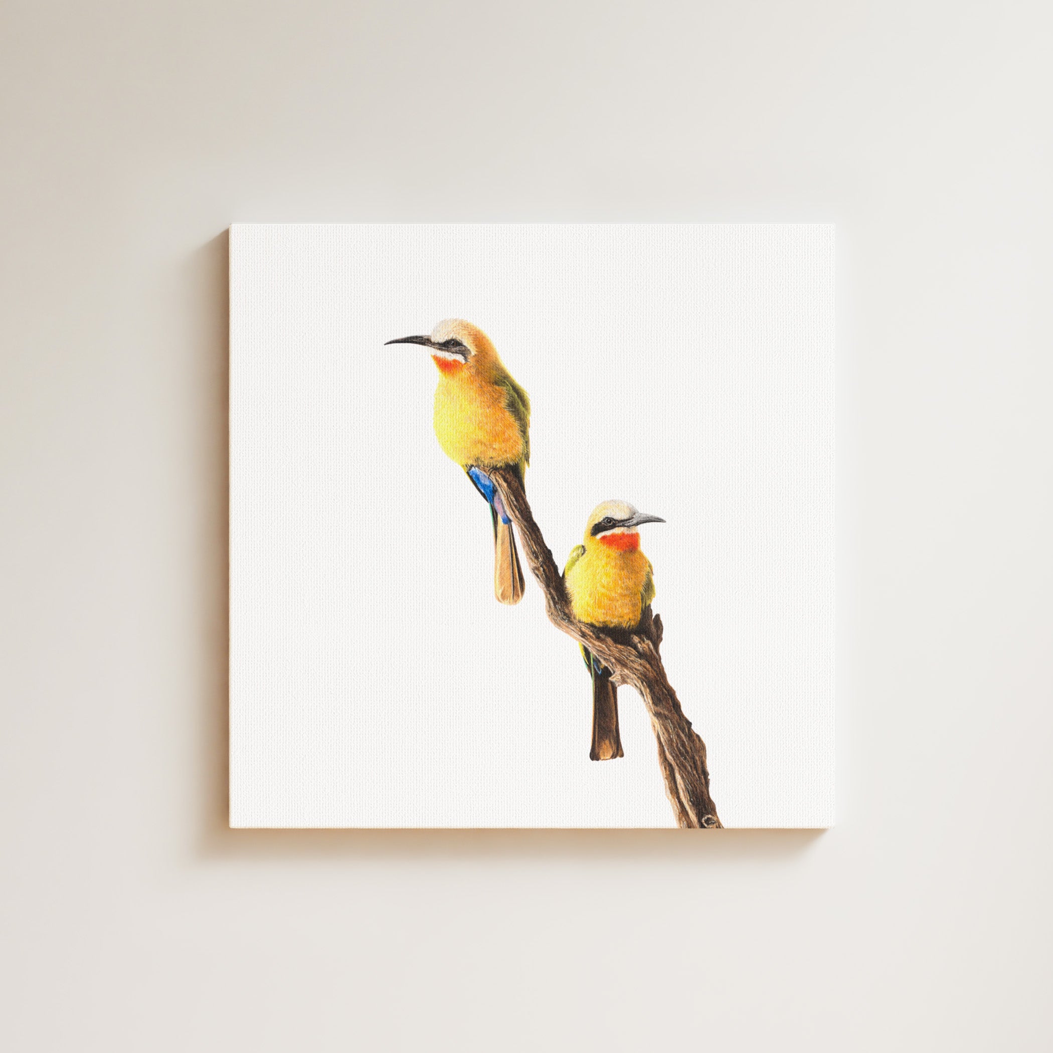 White Fronted Bee Eaters drawing on canvas by South African wildlife artist Matthew Bell