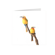 White Fronted Bee Eater Greeting Card - WFBE2