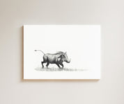 Warthog drawing on canvas by South African wildlife artist Matthew Bell