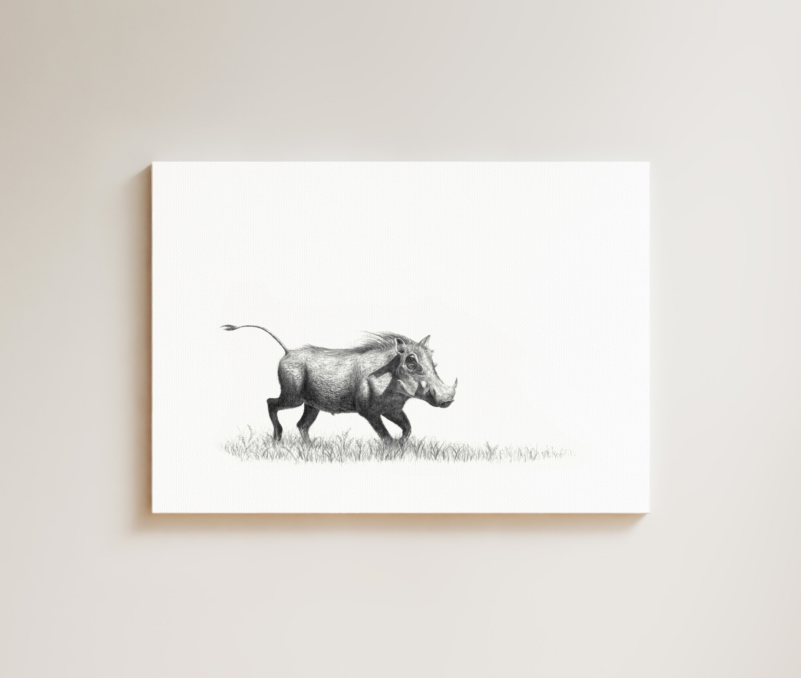 Warthog drawing on canvas by South African wildlife artist Matthew Bell
