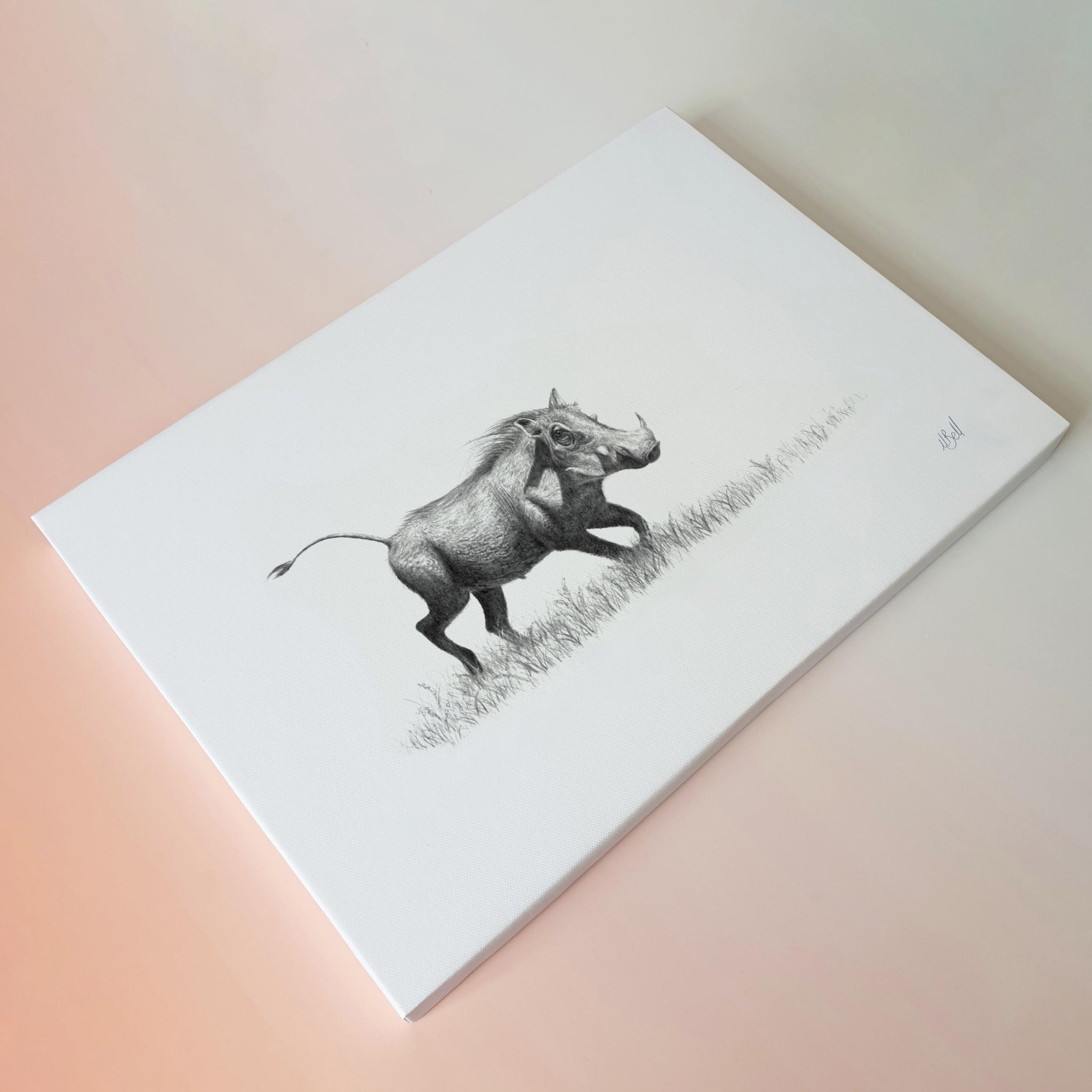 Warthog artwork on canvas