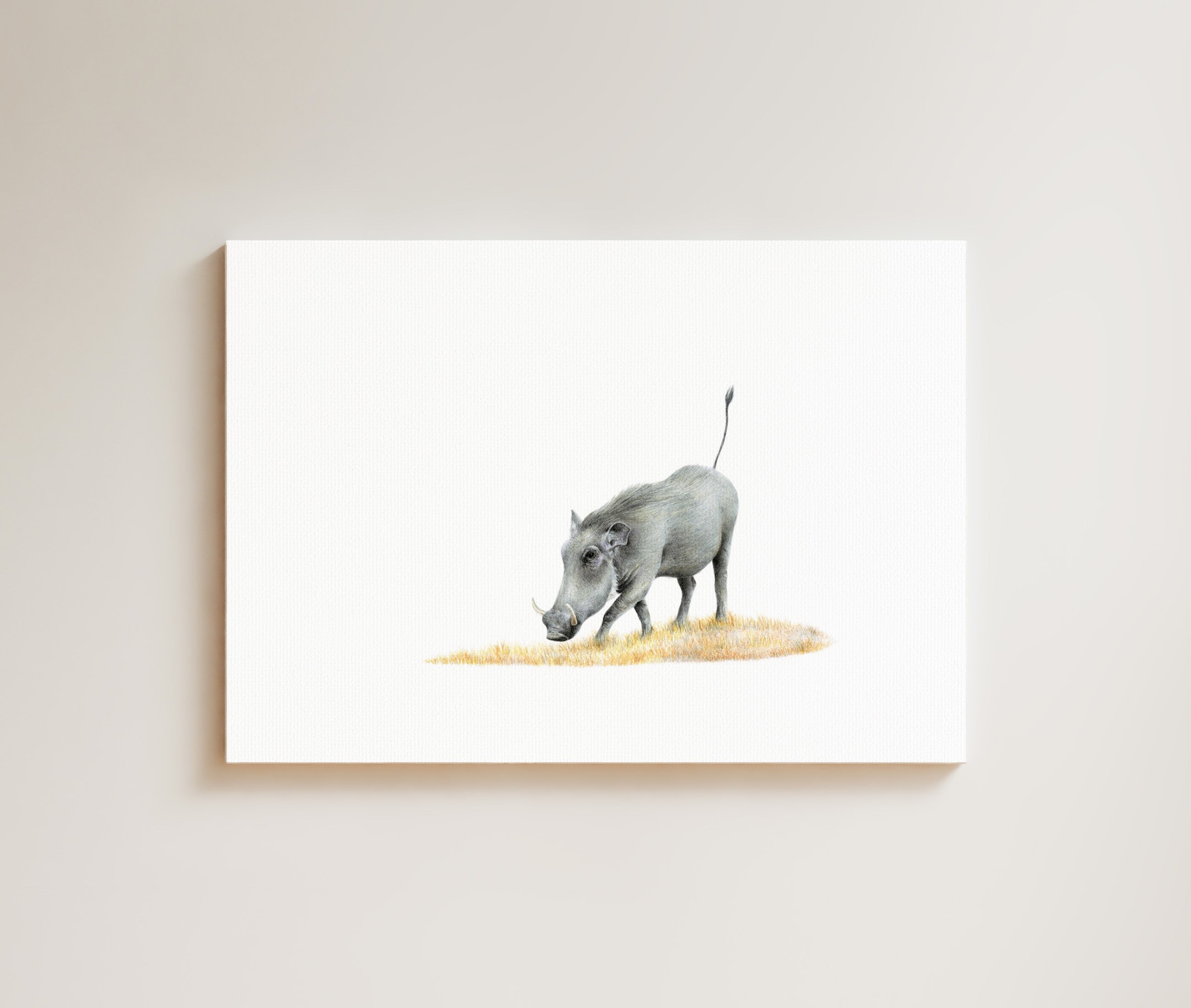 Warthog (WHG2) on Canvas