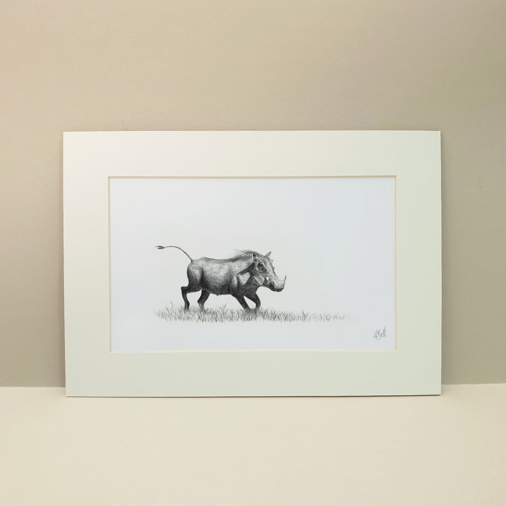Warthog in pencil mounted print drawing