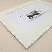 Warthog in pencil mounted print drawing