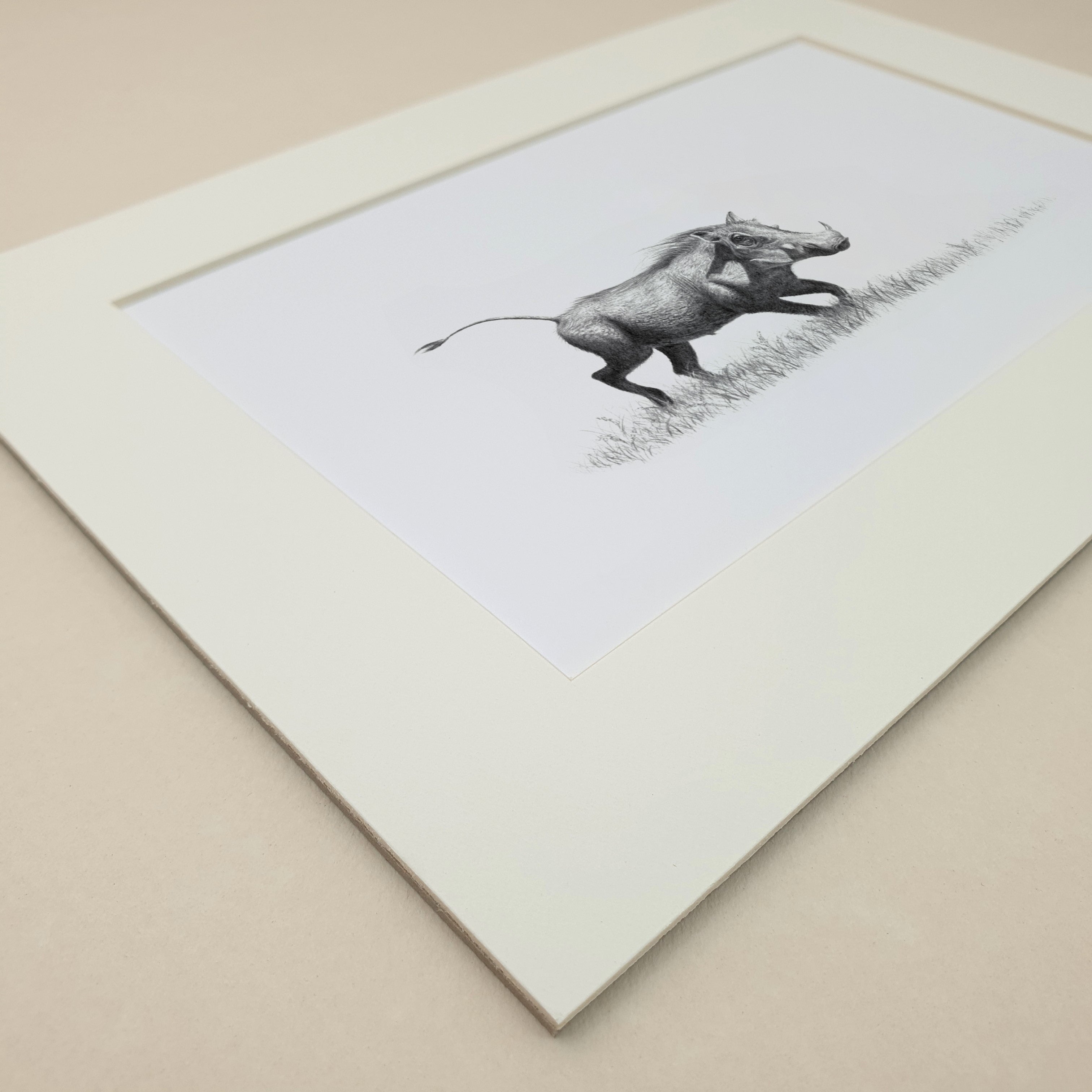 Warthog in pencil mounted print drawing