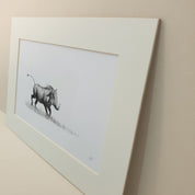 Warthog in pencil mounted print drawing