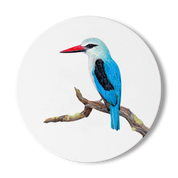 Woodland Kingfisher Wooden Coaster - WKF