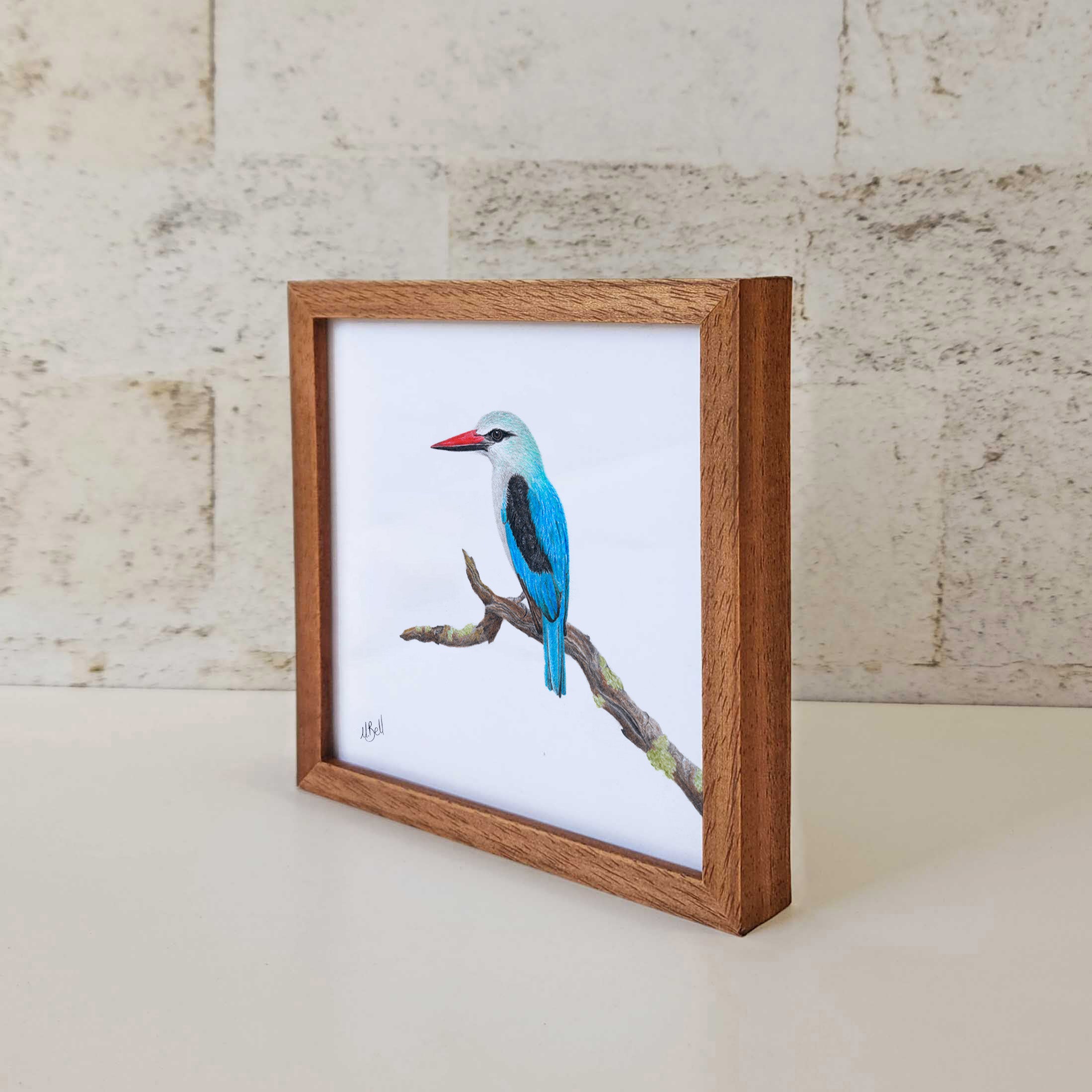 Kiaat wood framed miniature artwork of a Woodland Kingfisher, part of wildlife artist Matthew Bell's birds of South Africa gallery