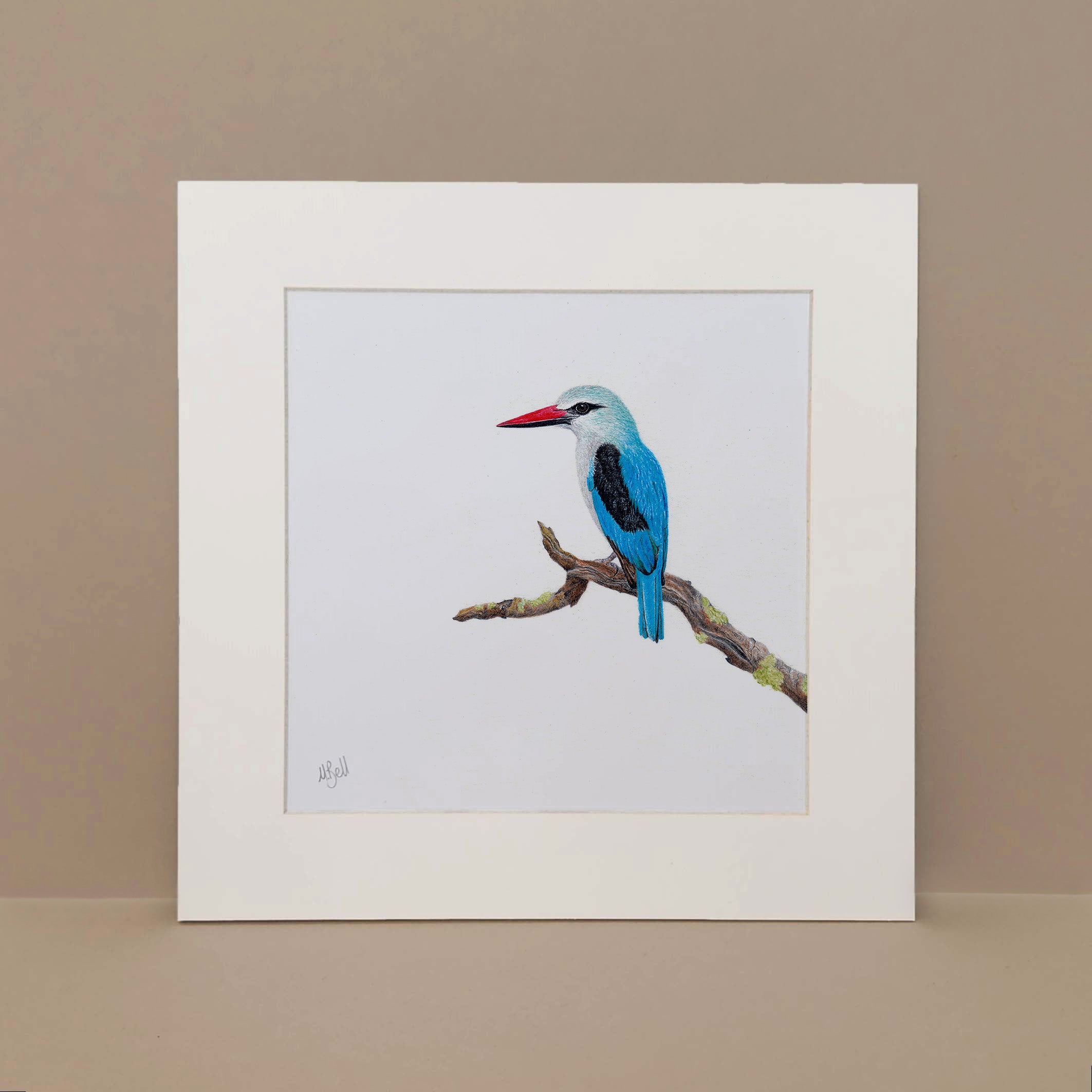 Woodland Kingfisher pencil artwork