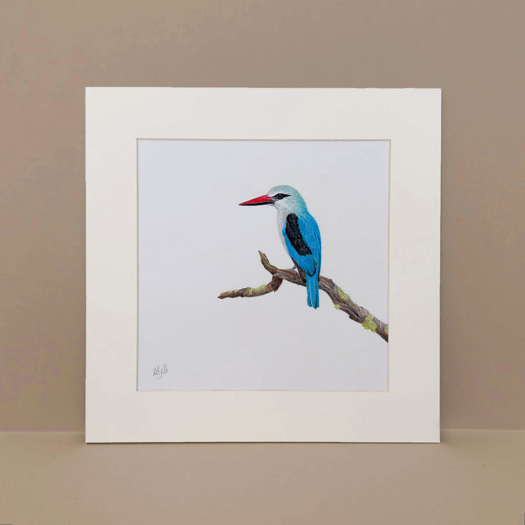 Woodland Kingfisher pencil artwork