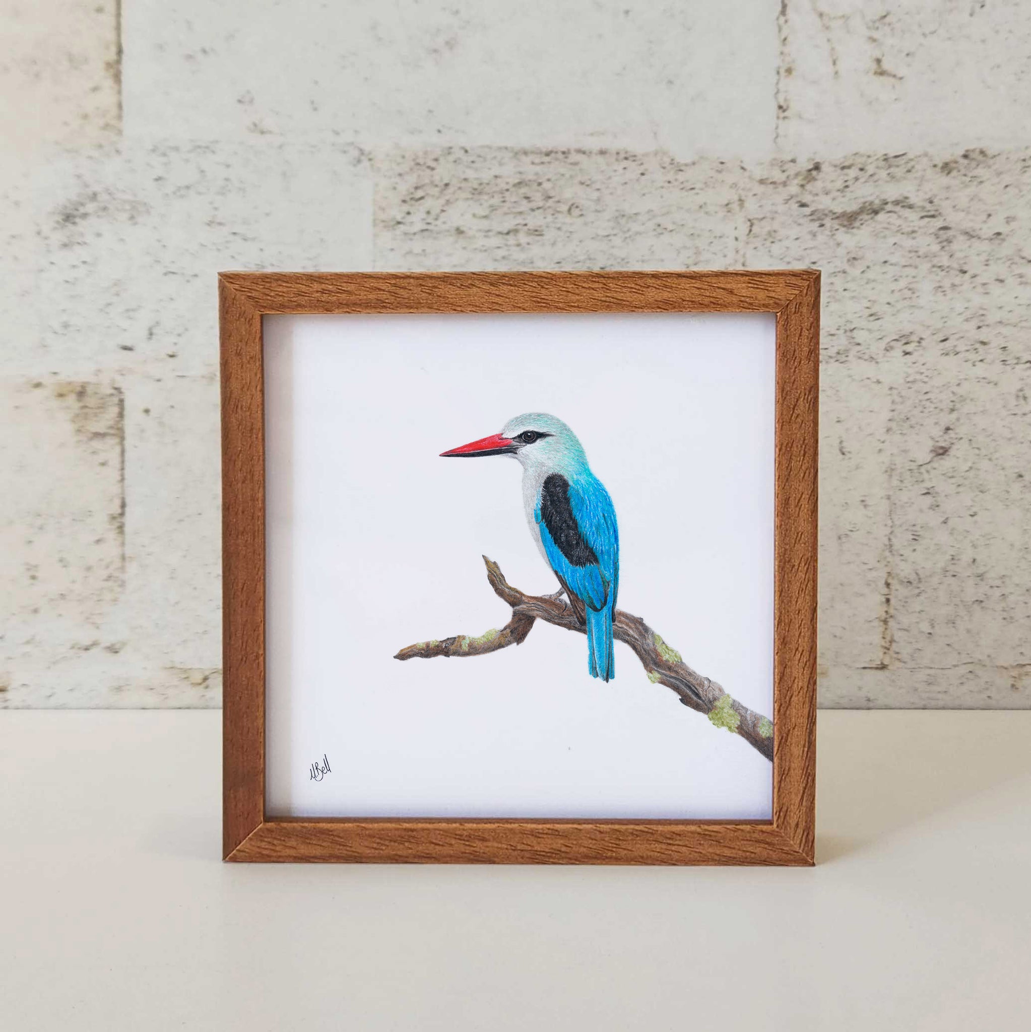 Kiaat wood framed miniature artwork of a Woodland Kingfisher, part of wildlife artist Matthew Bell's birds of South Africa gallery