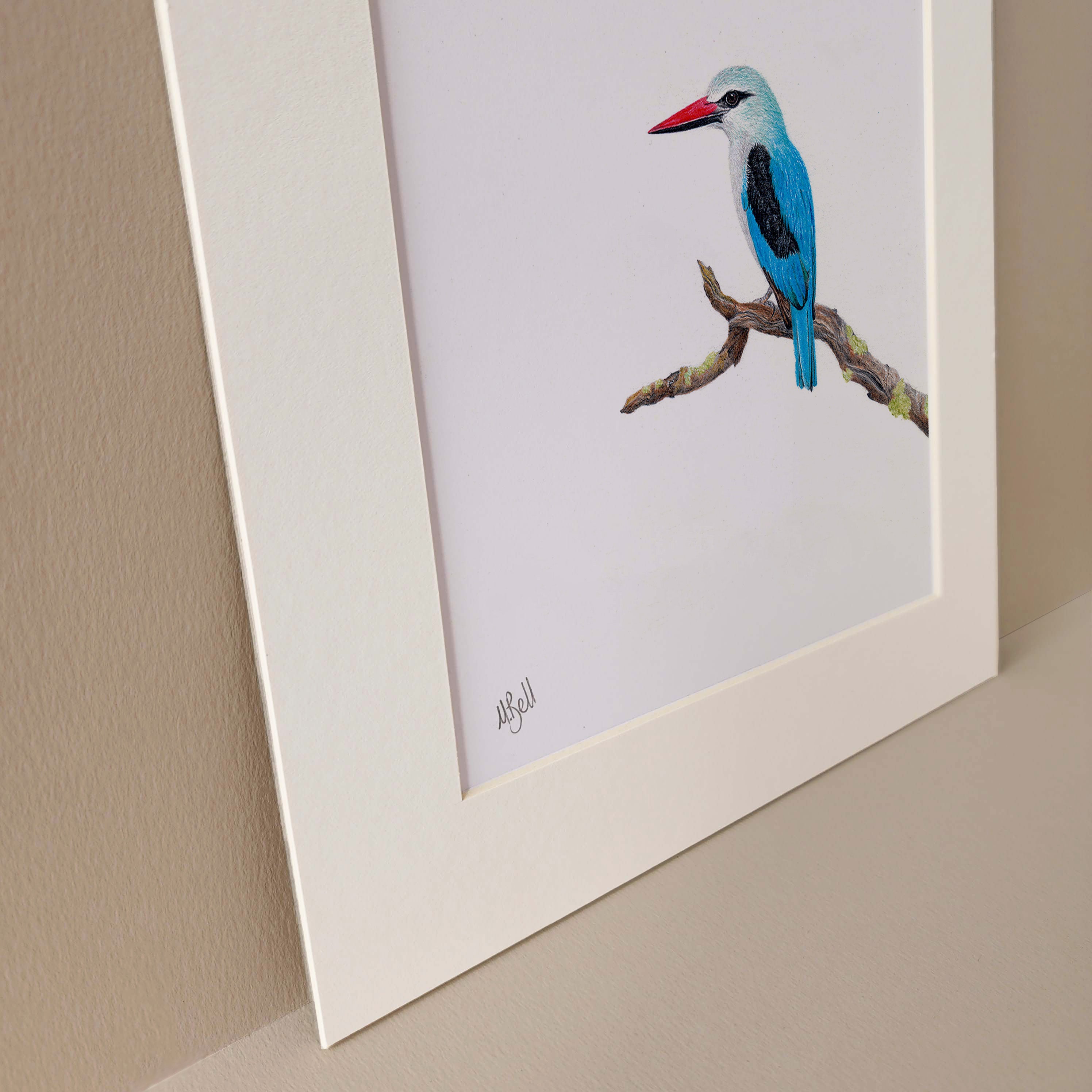 Woodland Kingfisher pencil artwork