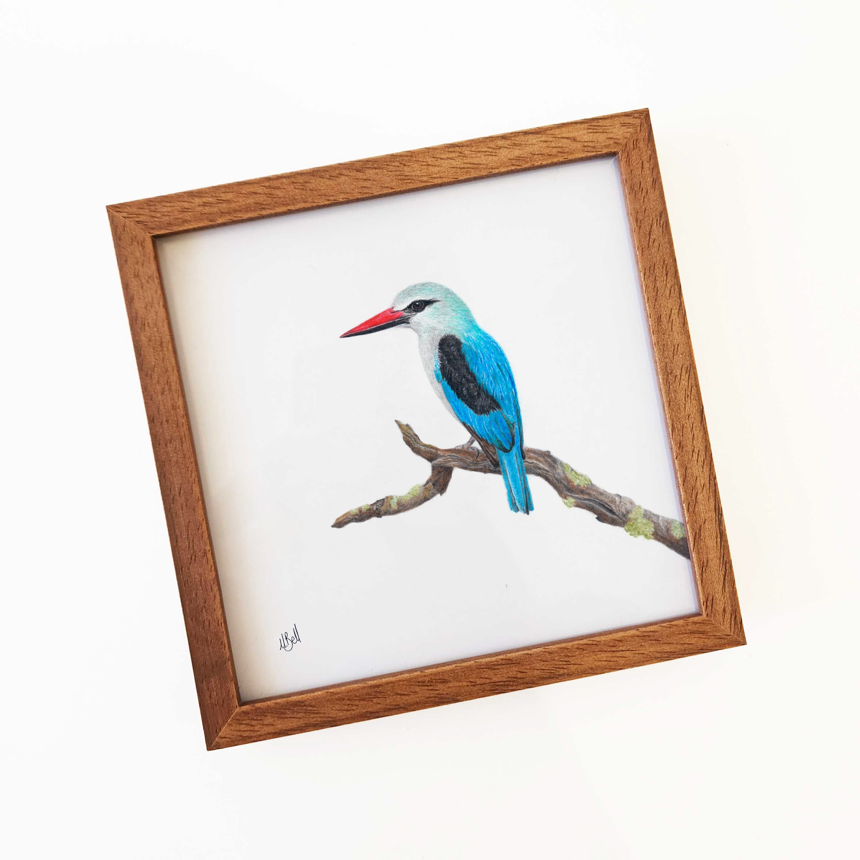 Kiaat wood framed miniature artwork of a Woodland Kingfisher, part of wildlife artist Matthew Bell's birds of South Africa gallery