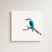 Woodland Kingfisher drawing on canvas by South African wildlife artist Matthew Bell