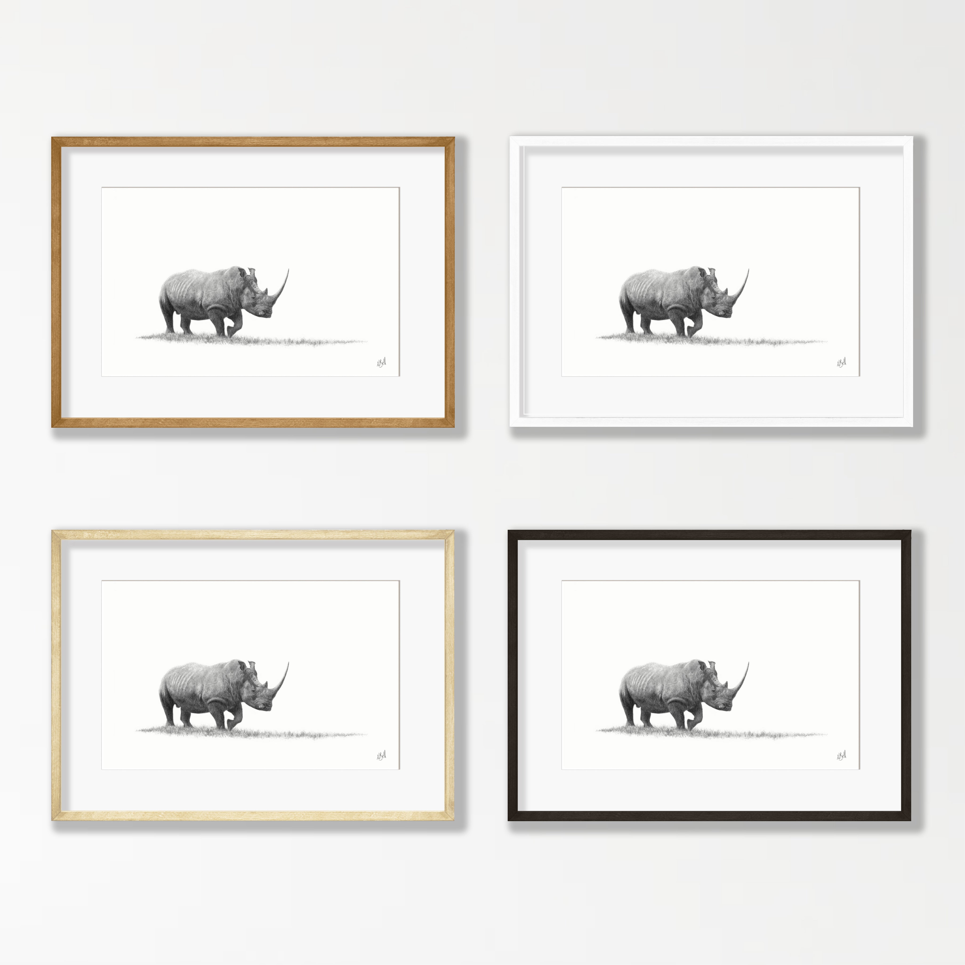White Rhino - WR2