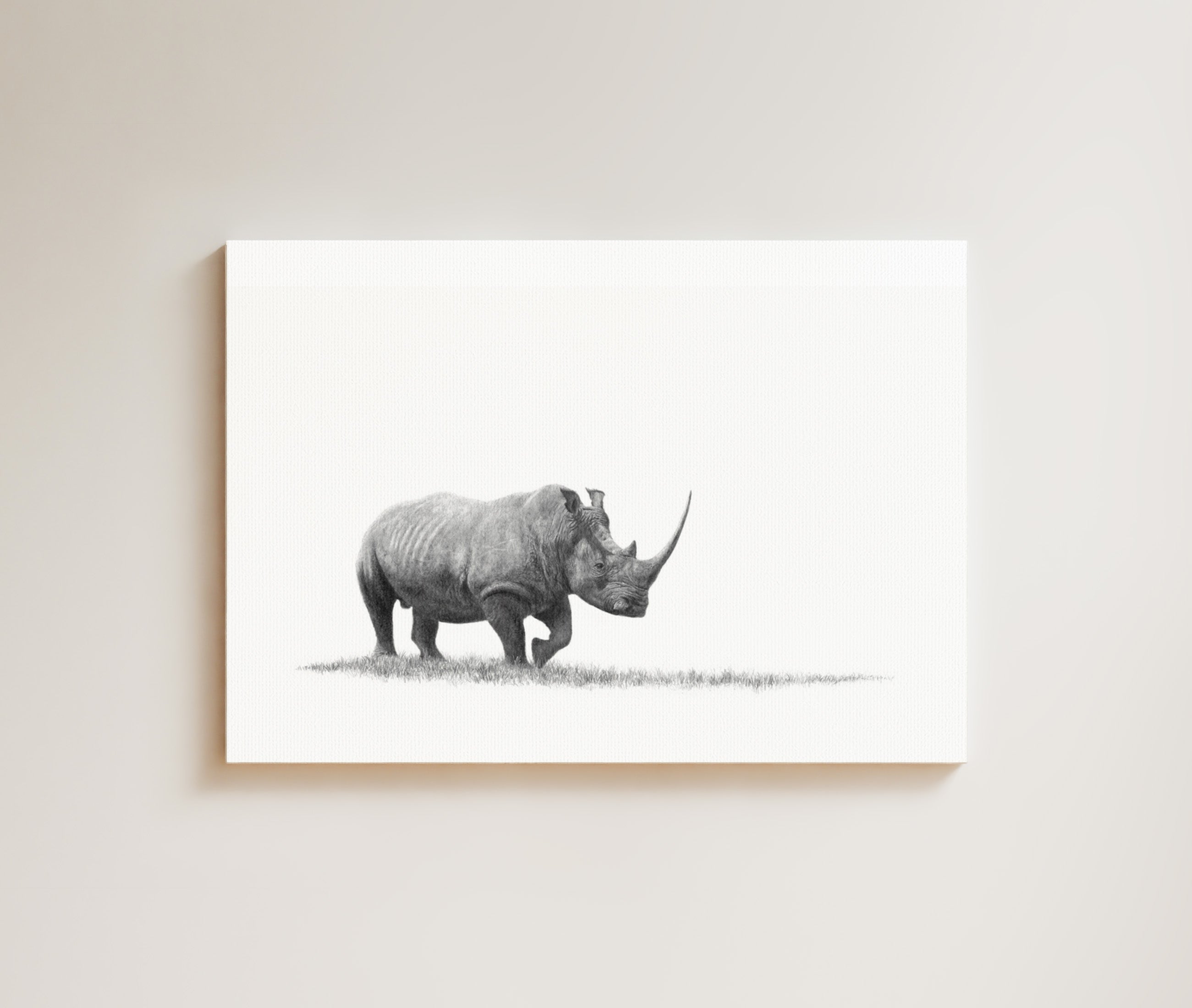 White Rhino drawing on canvas by South African wildlife artist Matthew Bell