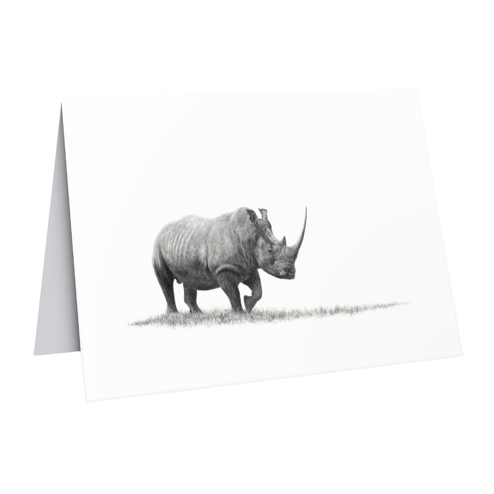 White Rhino Greeting Card - WR2