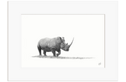 White Rhino - WR2